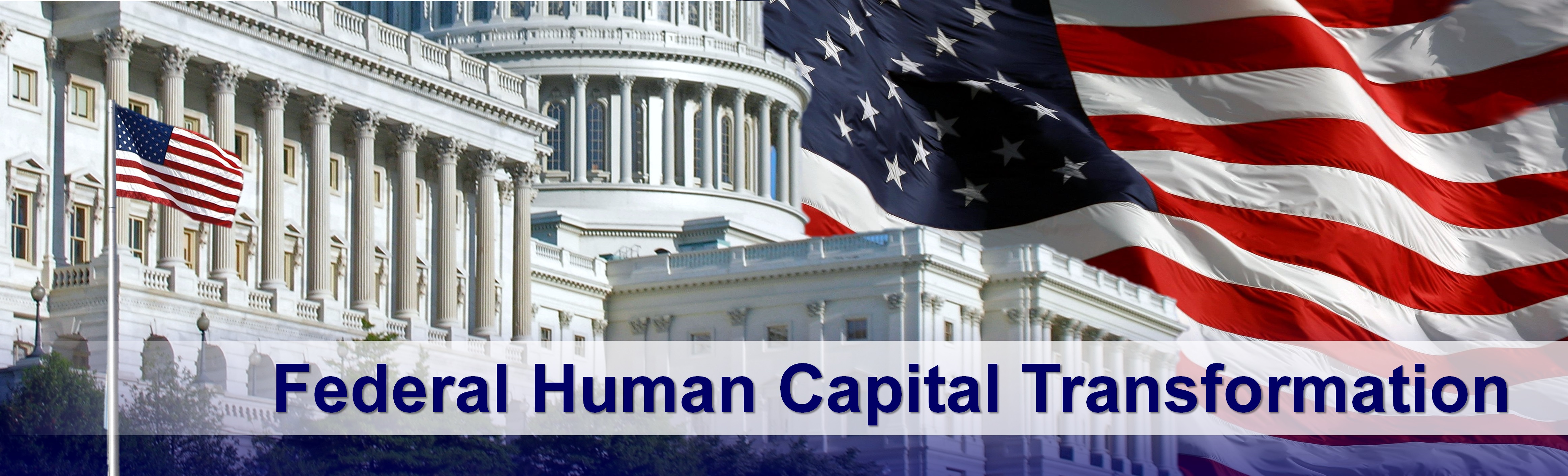 Federal Human Capital Transformation Banner Large – Argus IT Services